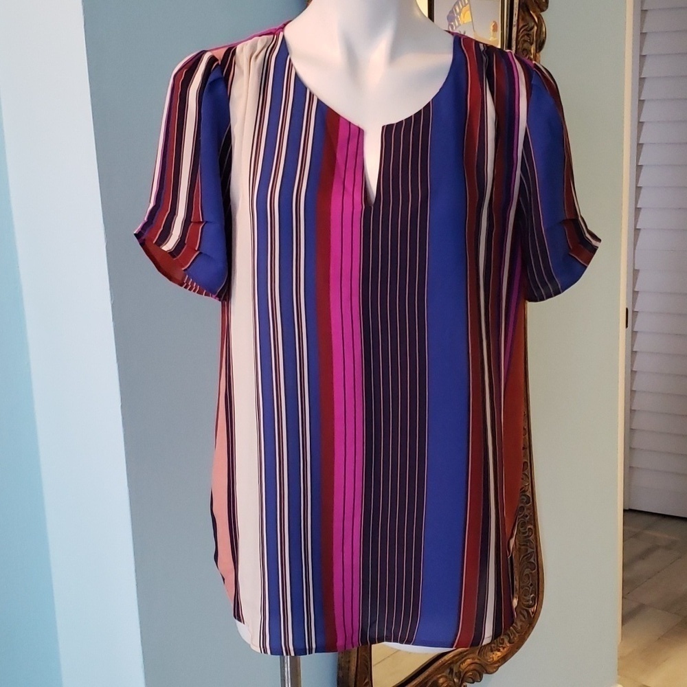 DR2 Multi Color Striped Short Sleeve Top Size L